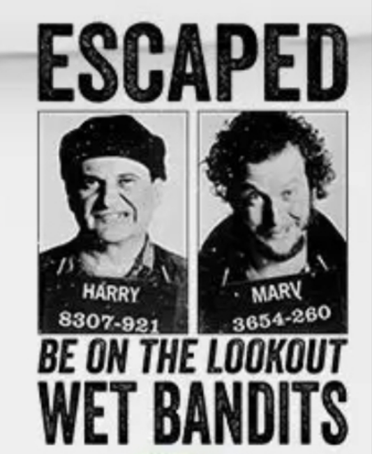 ESCAPED: Be On The Lookout WET BANDITS-Design