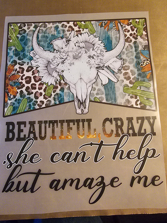 Beautiful, Crazy, She Can't Help But Amaze Me Design